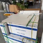 Carreau mural Vision Bagno corps blanc 300MM x 600MM - 8MM